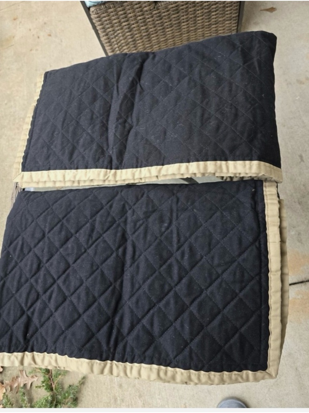 🖤💛 NWOT Ralph Lauren Charleston King Size Quilted Button Black /Gold Shams - Picture 2 of 5
